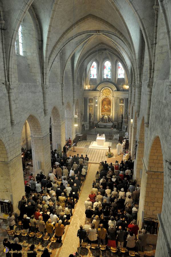 Nom de l'image : D30099944_1_(c)Norbert-JUNG — Description :